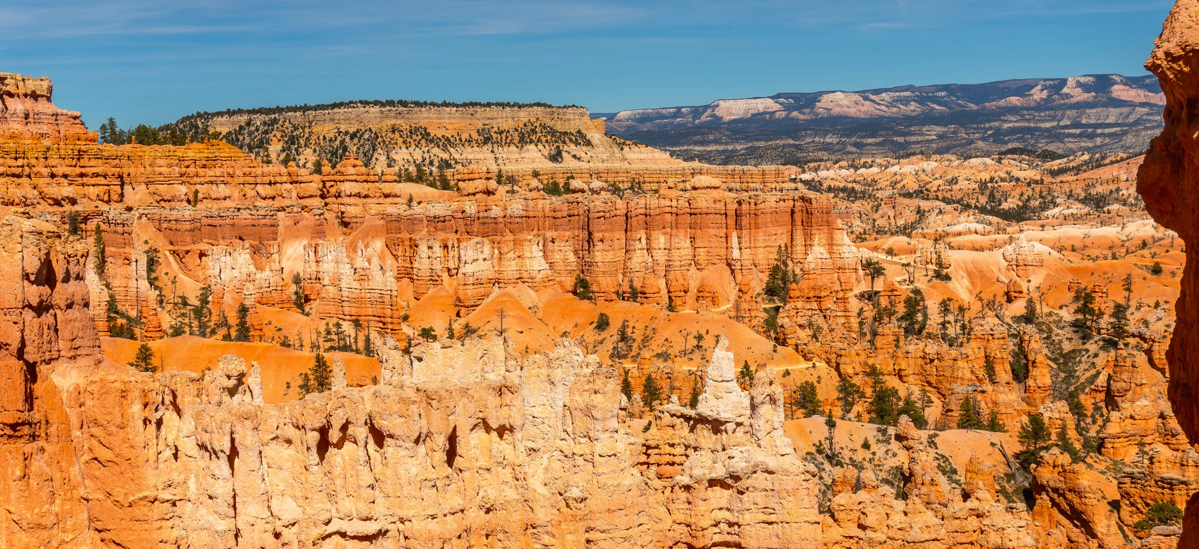 Payroll services in La Verkin, Utah